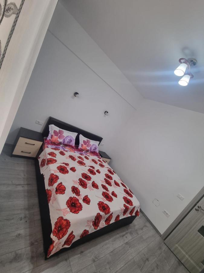 Apartament Mihaela Рымнику-Вылча Экстерьер фото